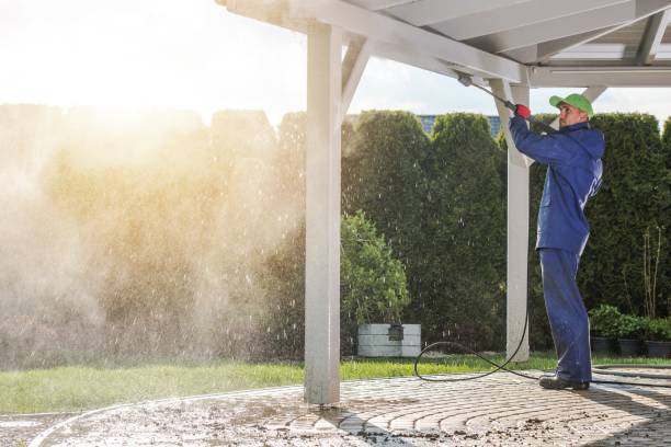 Pre-Holiday Cleaning in Louisburg, KS